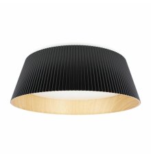 Потолочный светильник Loft IT Evans 10224 Black