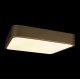 Потолочный светильник Loft IT Flims 10228/C