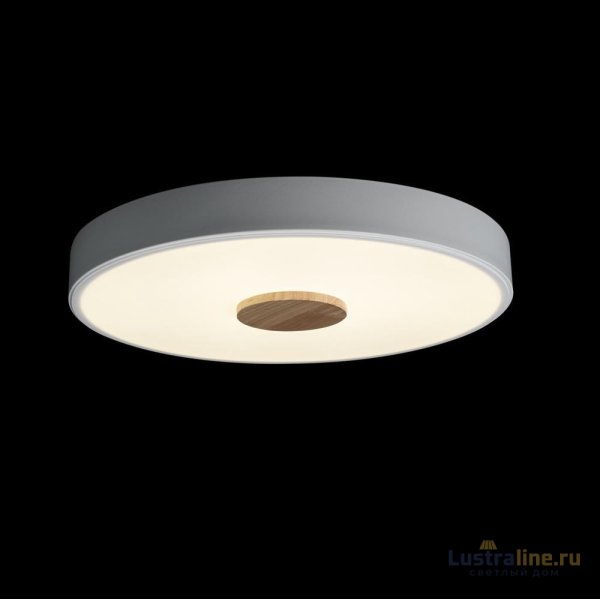 Потолочный светильник Loft IT AXEL 10003/24 White Потолочный светильник Loft IT AXEL 10003/24 White