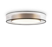 Потолочный светильник Freya Zoticus FR6005CL-L48G