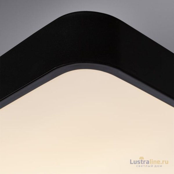 Потолочный светильник Arte Lamp A2663PL-1BK
