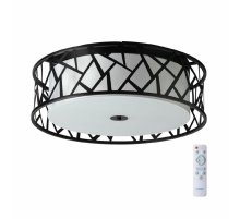 Потолочный светильник Sonex Fabiana 7700/60L