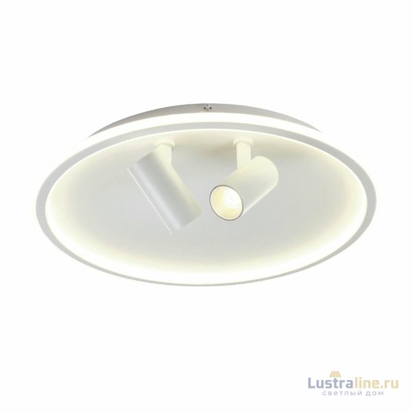 Потолочный светильник Myfar Focus MR9050-CL
