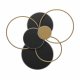 Потолочный светильник Loft IT Megan 10163 Black