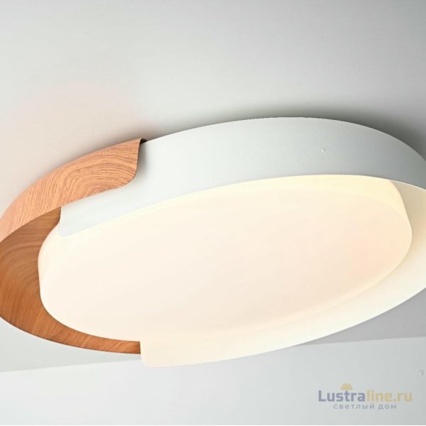 Потолочный светильник ImperiumLoft Adda 223830-23 Потолочный светильник ImperiumLoft Adda 223830-23