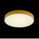 Потолочный светильник Loft IT AXEL 10002/24 Yellow