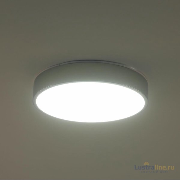 Потолочный светильник Zortes Tortty ZRS.02565.36