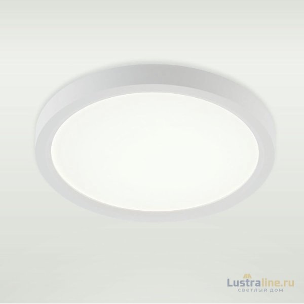 Потолочный светильник Natali Kovaltseva Plain LED LAMPS 81113/1C