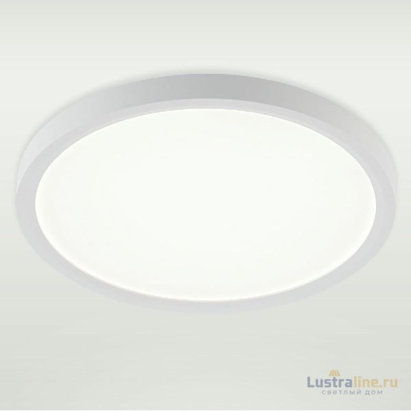 Потолочный светильник Natali Kovaltseva Plain LED LAMPS 81113/2C Потолочный светильник Natali Kovaltseva Plain LED LAMPS 81113/2C
