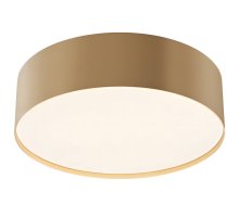 Потолочный светильник Maytoni Technical Ceiling Zon C032CL-24W4K-RD-MG