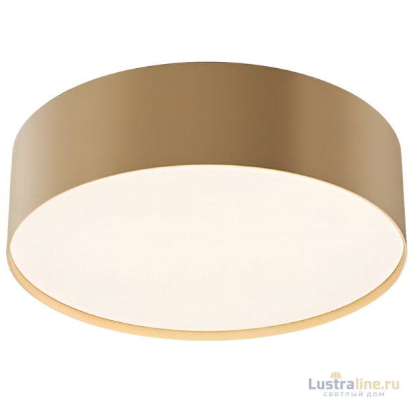 Потолочный светильник Maytoni Technical Ceiling Zon C032CL-24W4K-RD-MG