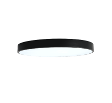 Потолочный светильник Zortes Tortty ZRS.02563.96
