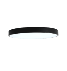 Потолочный светильник Zortes Tortty ZRS.02563.96