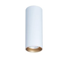 Потолочный светильник TopDecor Tubo8 P2 10 G