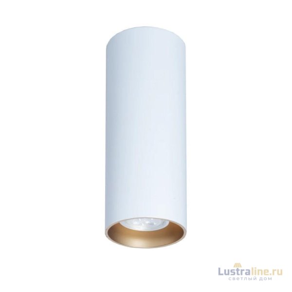 Потолочный светильник TopDecor Tubo8 P2 10 G