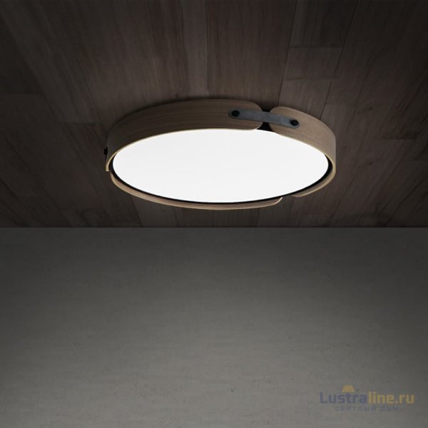 Потолочный светильник ImperiumLoft Range 195541-26 Потолочный светильник ImperiumLoft Range 195541-26
