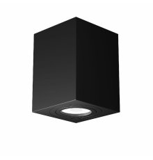 Потолочный светильник Maytoni Alfa C017CL-01B