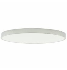 Потолочный светильник Zortes Tortty ZRS.02565.120