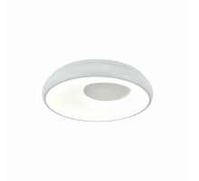 Потолочный светильник Indigo Cratere 14016/1С White V000152L