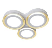 Потолочный светильник Adilux 1017