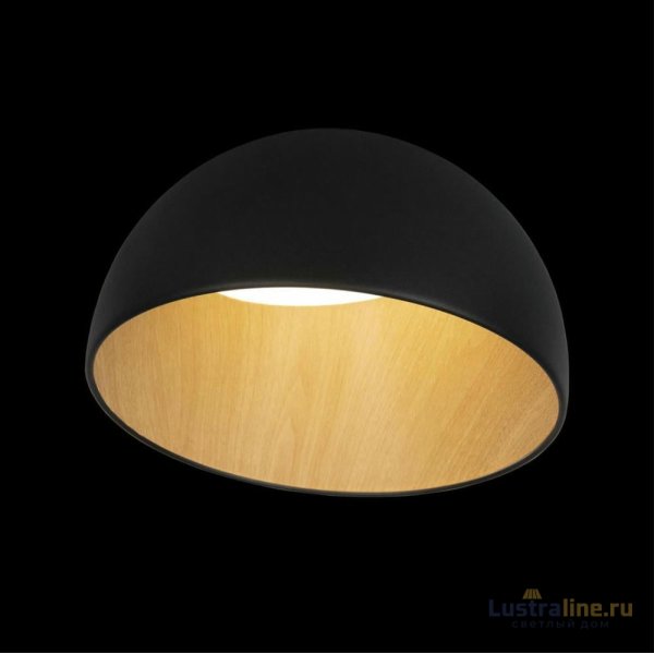 Потолочный светильник Loft IT Egg 10197/350 Black Потолочный светильник Loft IT Egg 10197/350 Black