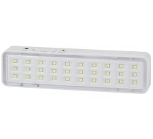 Аварийный светильник Эра DBA-101-0-20 Б0044394