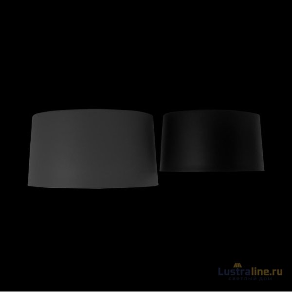 Потолочный светильник Loft IT Duo 10360/2 Потолочный светильник Loft IT Duo 10360/2