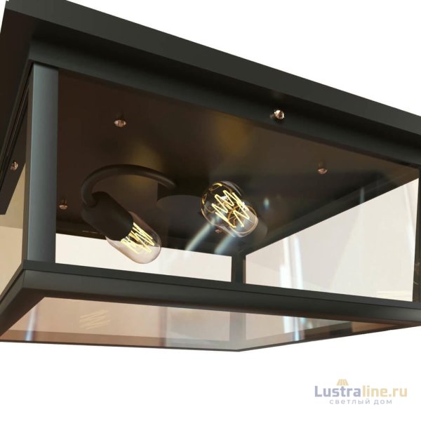 Потолочный светильник LOFT IT Modern filament Loft3110-2C
