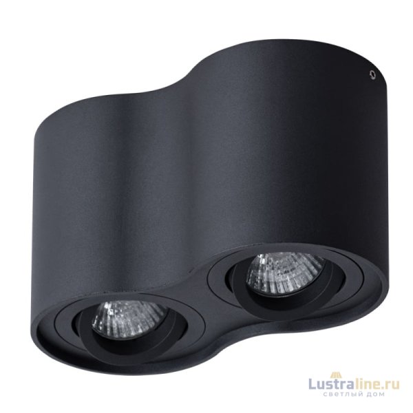 Потолочный светильник Arte Lamp Falcon A5645PL-2BK