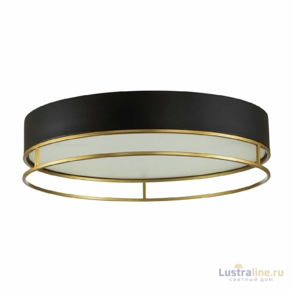 Потолочный светильник Sonex Lofty 7723/100L