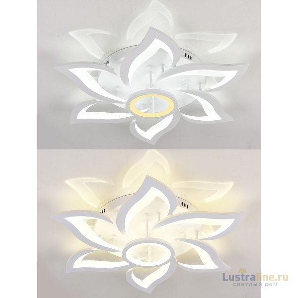 Потолочный светильник Natali Kovaltseva HIGH-TECH LED LAMPS 82020 Потолочный светильник Natali Kovaltseva HIGH-TECH LED LAMPS 82020