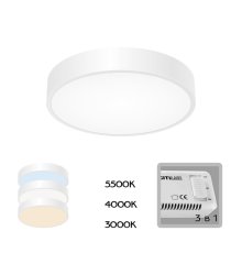 Потолочный светильник Citilux Купер CL72424V0