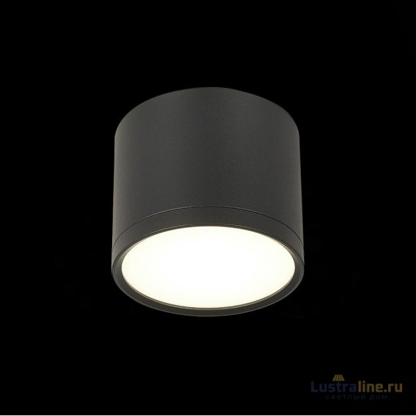 Потолочный светильник ST Luce Rene ST113.442.09