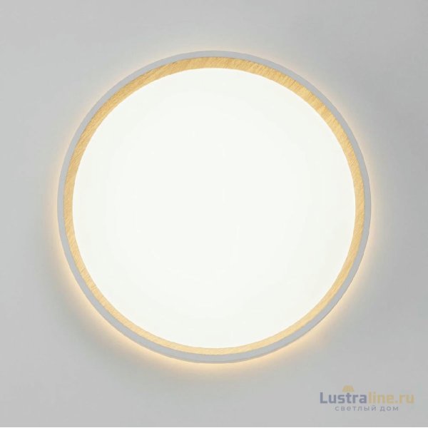 Потолочный светильник Citilux Etalon CL750240