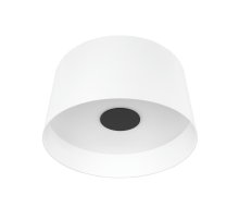Потолочный светильник Loft IT Duo 10360L White