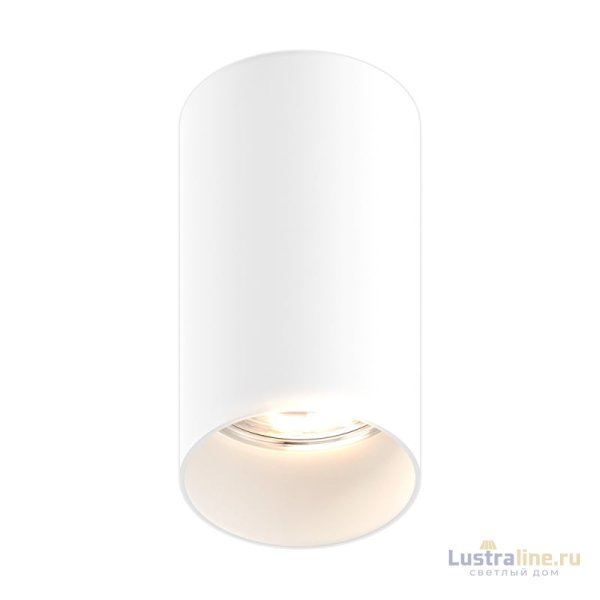 Потолочный светильник Zumaline TUBA SL 1 92679
