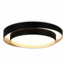 Потолочный светильник Evoluce Crosby SLE6009-402-01