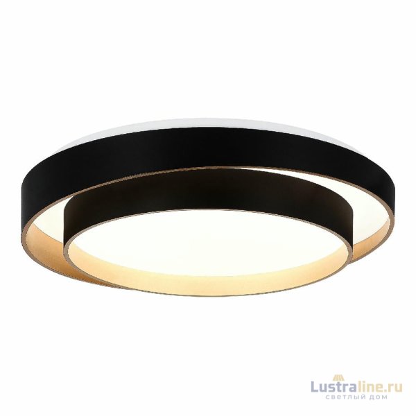 Потолочный светильник Evoluce Crosby SLE6009-402-01