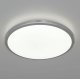 Потолочный светильник Citilux Луна CL70224V