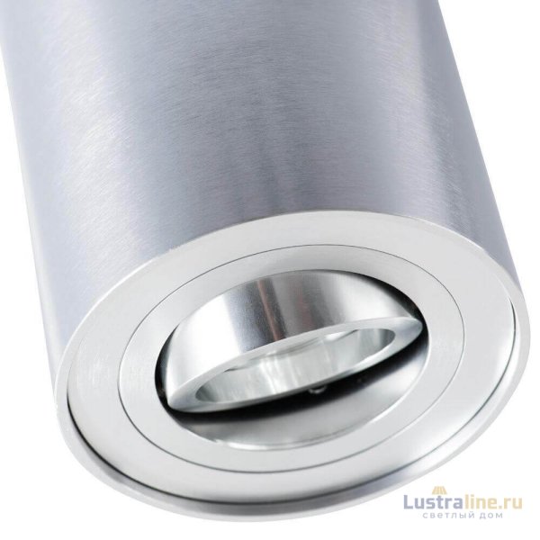 Потолочный светильник Arte Lamp A5644PL-1SI