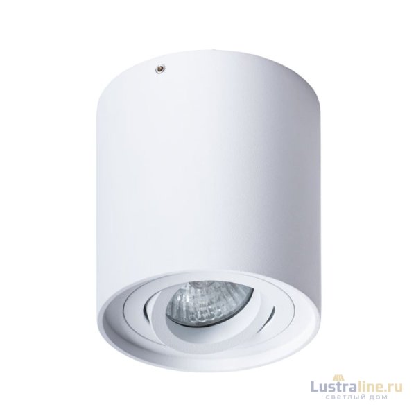 Потолочный светильник Arte Lamp Falcon A5645PL-1WH