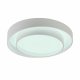 Потолочный светильник Myfar Rhea MR9160-CL