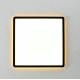 Потолочный светильник Citilux Norma CL749K301