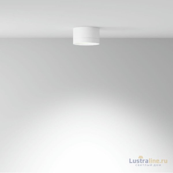 Потолочный светильник Maytoni Technical Hoop C086CL-GX53-SRD-W
