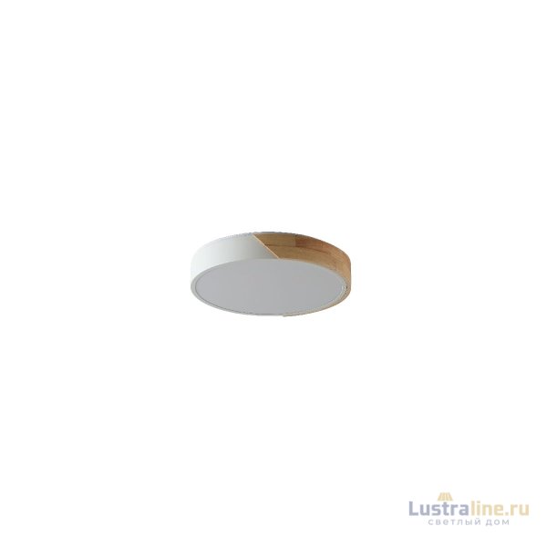 Потолочный светильник Zortes Alberro ZRS.01239.90 Потолочный светильник Zortes Alberro ZRS.01239.90