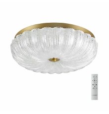 Потолочный светильник Sonex Tesoro 7719/48L