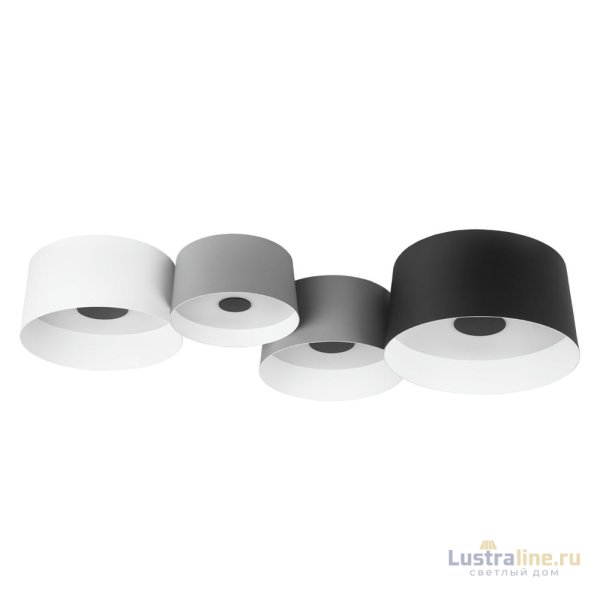 Потолочный светильник Loft IT Duo 10360/4 Потолочный светильник Loft IT Duo 10360/4