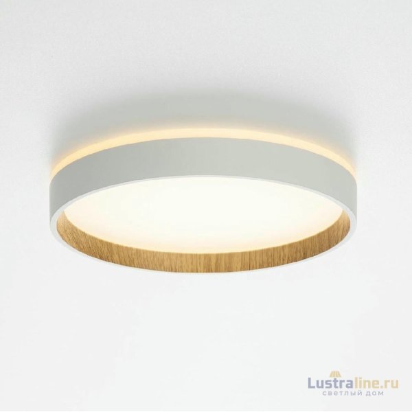 Потолочный светильник Citilux Etalon CL750240