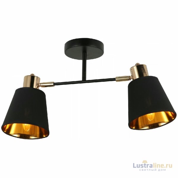 Потолочный светильник Illumico IL6116-2COU-79 BK GD Abelie Потолочный светильник Illumico IL6116-2COU-79 BK GD Abelie