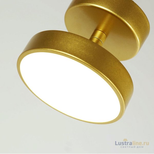 Потолочный светильник F-Promo Atma 3059-1P Потолочный светильник F-Promo Atma 3059-1P